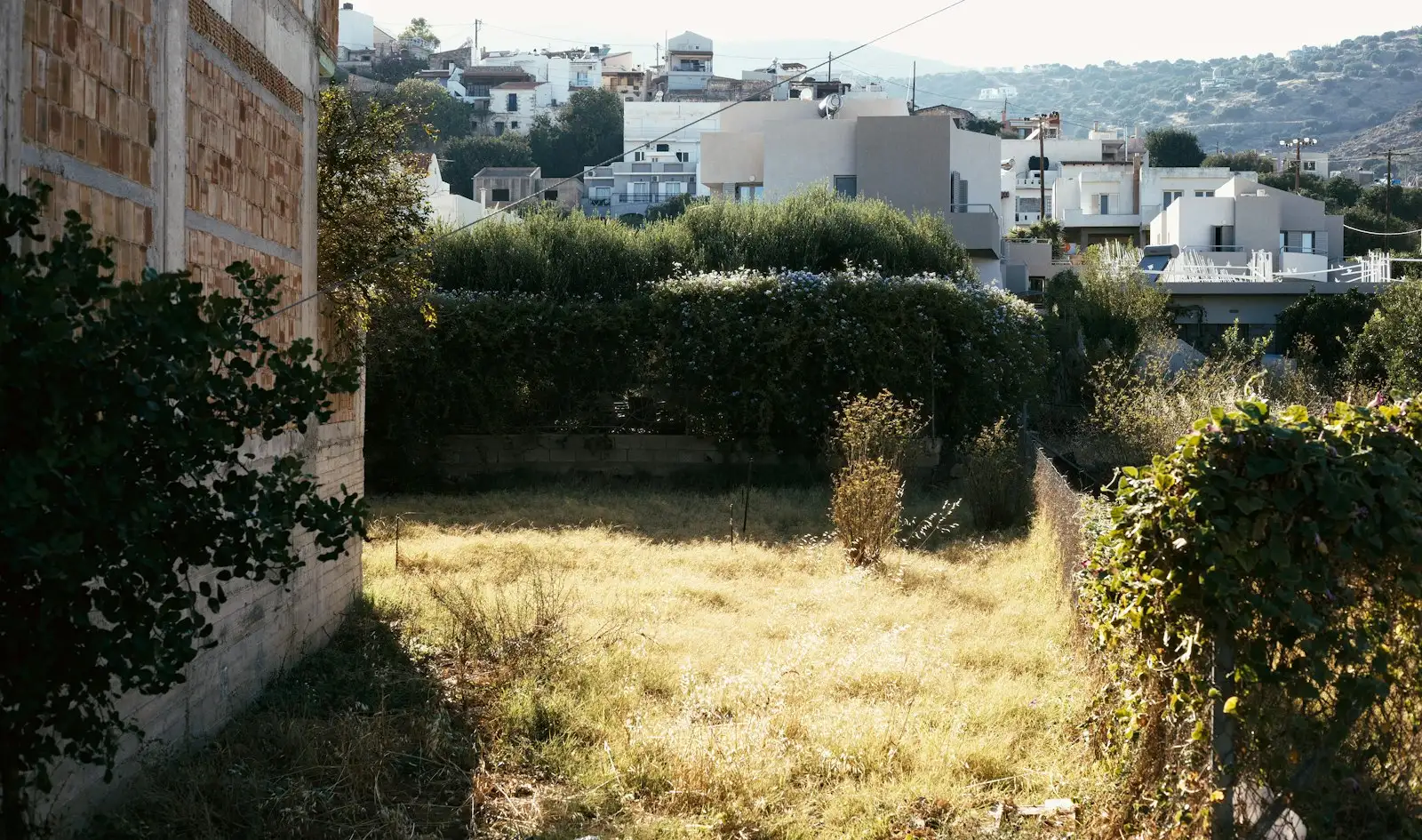 Avant : Terrain sec et herbe jaunie le long d’une haie