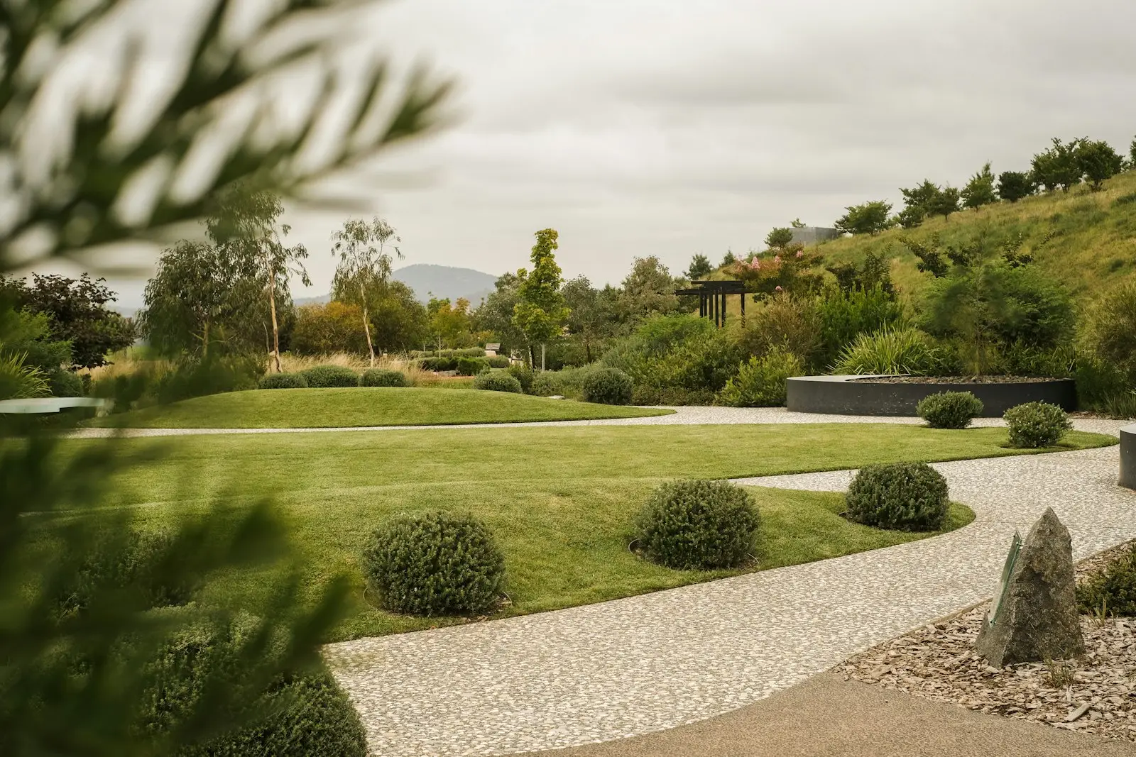 Jardin paysager avec pelouse, massifs arrondis et allée en gravier